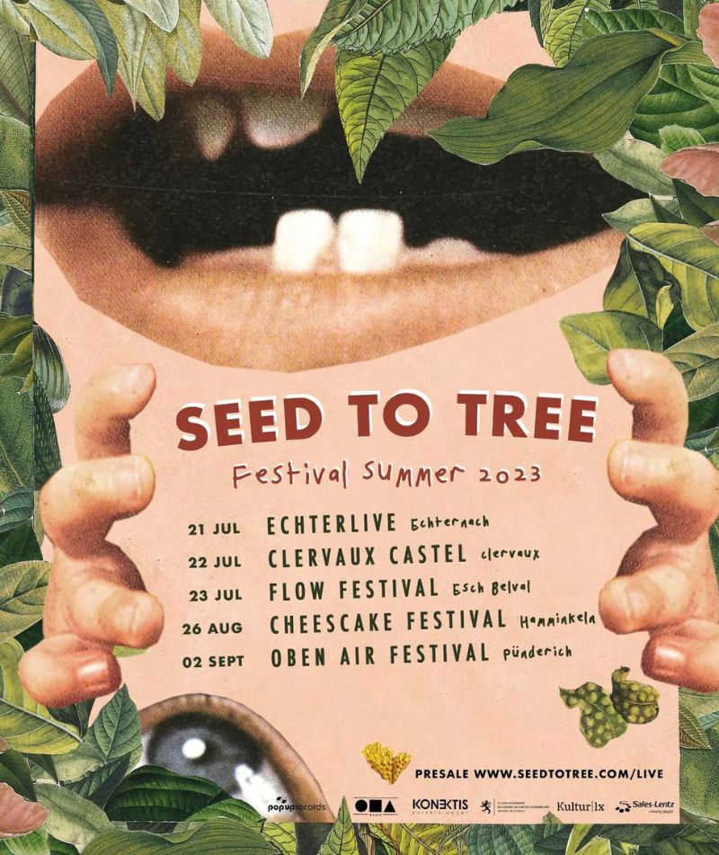 Seed to Tree <br />
"Cheesecake Festival"