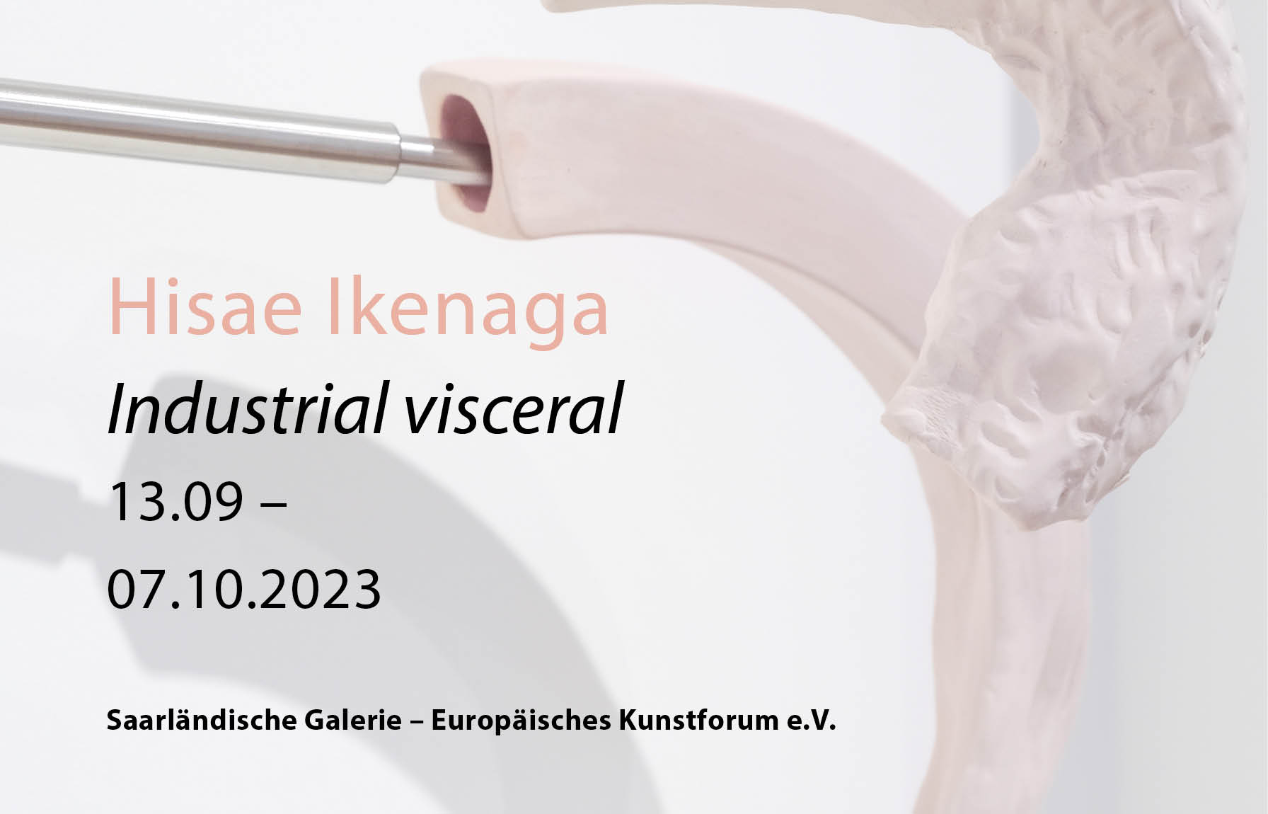 Hisae Ikenaga's work on show in Berlin for the first time