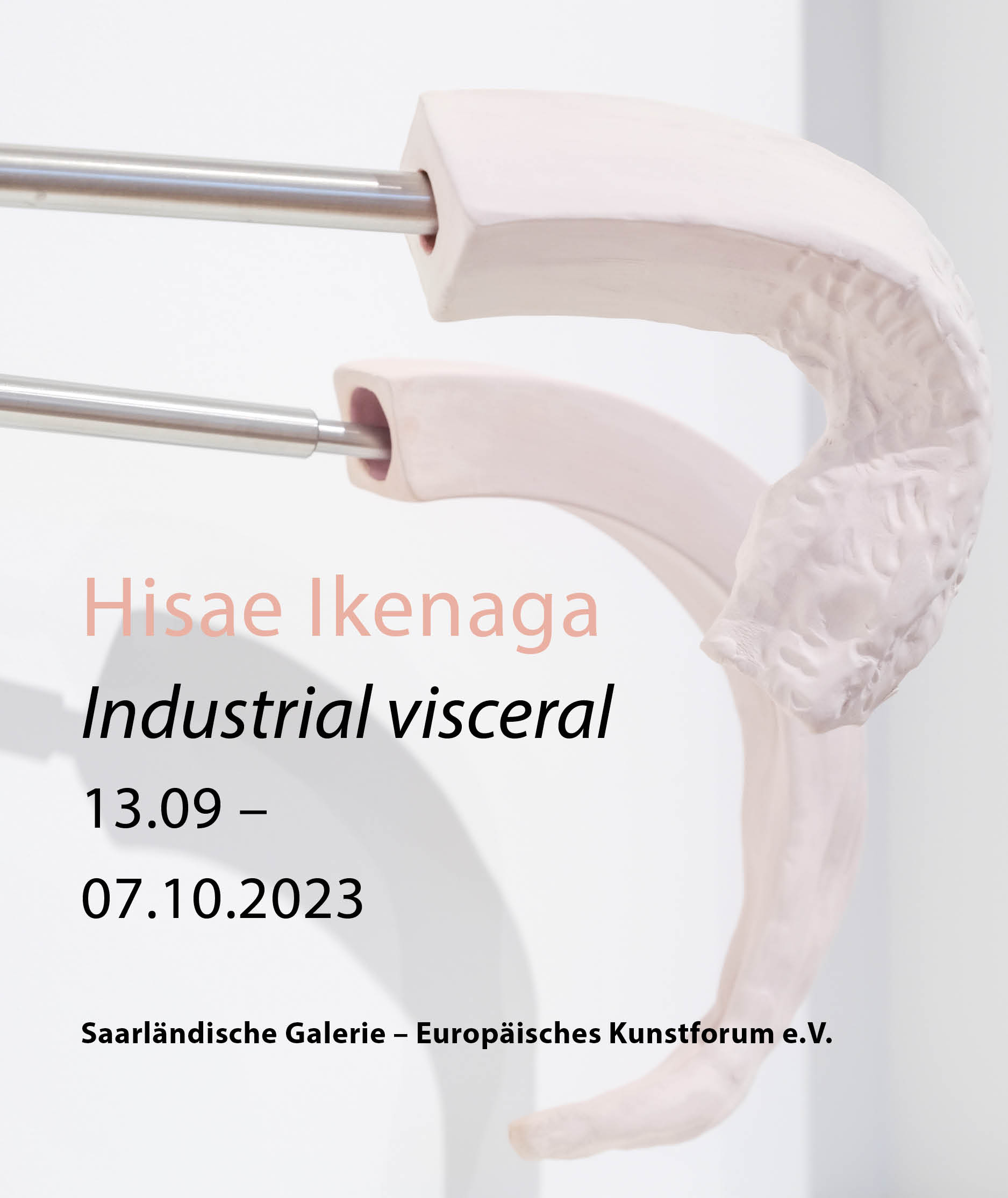 Hisae Ikenaga <br />
"Industrial Visceral"